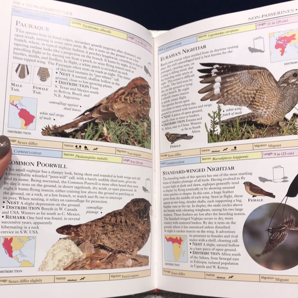 Birds of the World Book. Like New 416 page book. EUC!! - Picture 3 of 4